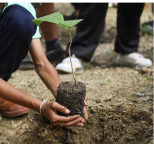 Social Responsibility